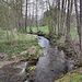 Inzwischen habe ich die Straße von Münzkirchen nach Esternberg überschritten und auch den Kösslbach verlassen. Der Biberweg führt jetzt am Schwaiblbach weiter.