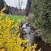 Blick mit einem Farbkleks auf den Schwaiblbach von einer Brücke bei Hof.