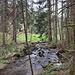 Auch der Schwaiblbach führt gut Wasser.