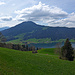 südliches See-Ende des Ägerisees bei Morgarten