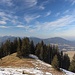 oberhalb der Bucher Alm