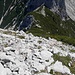 Abstiegsflanke Arnplattenspitze Stellen II/UIAA