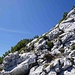 Hangneigung Geländeflanke Abstiegsgelände Arnplattenspitze
