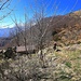 Alpe Frera