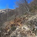 Miniera dell'Alpe Colle