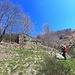 Alpe Frera