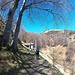 Alpe Vegia