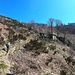 Alpe Frera