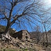Alpe Frera