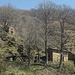 Alpe Frera