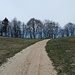 in direzione del passo