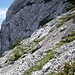 Hangneigung der Geländeflanke im Schuttkessel / 45° Neigung