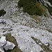 Rückblick der Aufstiegsflanke Gratverlauf zur Großen Arnspitze / Stelle II/UIAA 
Man beachte links unten im Bild das Stoamandl