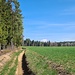 Passage am Waldrand 