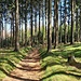 Auf dem Weg zum Weißenstein 