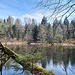 Am Singerweiher 