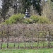 Ein Stupa mitten im Frankenwald