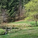 Klosterteich mit altem Buddha 