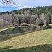 Im Kosertal 