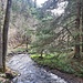 Im Kosertal 