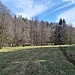 Schon unterhalb der ehemaligen Achatzmühle, die ich ja leider verpasst habe, siehe Text 