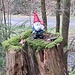 Ein Zwerglein steht im Walde 