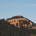 Fockenstein