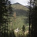 Burg