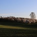 Frühlingsflur