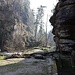 Dolský Mlýn, Wehranlage mit Kamenice (Kamnitzbach) 