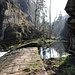 Dolský Mlýn, Wehranlage