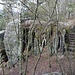 Zámecký vrch, Halsgraben zur Kernburg