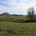 Vysoká Lípa, Wiesenland