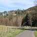 Blick zur Felsenburg Šaunštejn (Schauenstein)