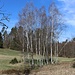 Wiesentälchen
