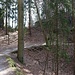Schöne Wegführung