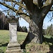 Betsäule und alte Linde (?)