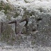 Tesaná cesta 1735