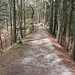 Schüttdamm im Kammverlauf