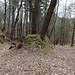 Alte und neue Wegführung