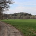 Blick zum Aussichtsturm Růženka