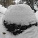 In geschützten Nordlagen hat es bereits auf 1700 m viel Schnee!