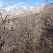 Altre baite che a breve supereremo, quelle di  Scagnal, oltre le quali termina il bosco con i panorami che si apriranno.