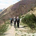 Raggiunta la stradina che scende dal Passo Folungo, l’abbiamo percorsa in discesa per arrivare al suo termine presso le baite di Corte Bavarione.