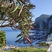 La Marina Piccola