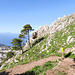 Scendendo verso  Anacapri
