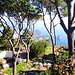 Dalla Vetta del Monte Solaro, scendiamo verso il MOnastero di Santa Maria di Cetrella