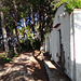 Ingresso Villa Damecuta