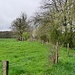 bei Ytrac