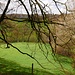 bei Moulène Basse *